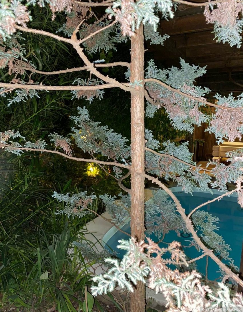 5300 км туда и обратно -2