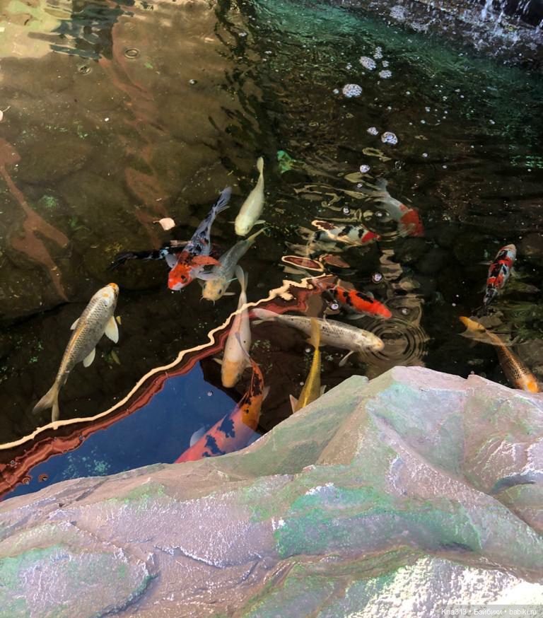 5300 км туда и обратно -2 (фото 5)