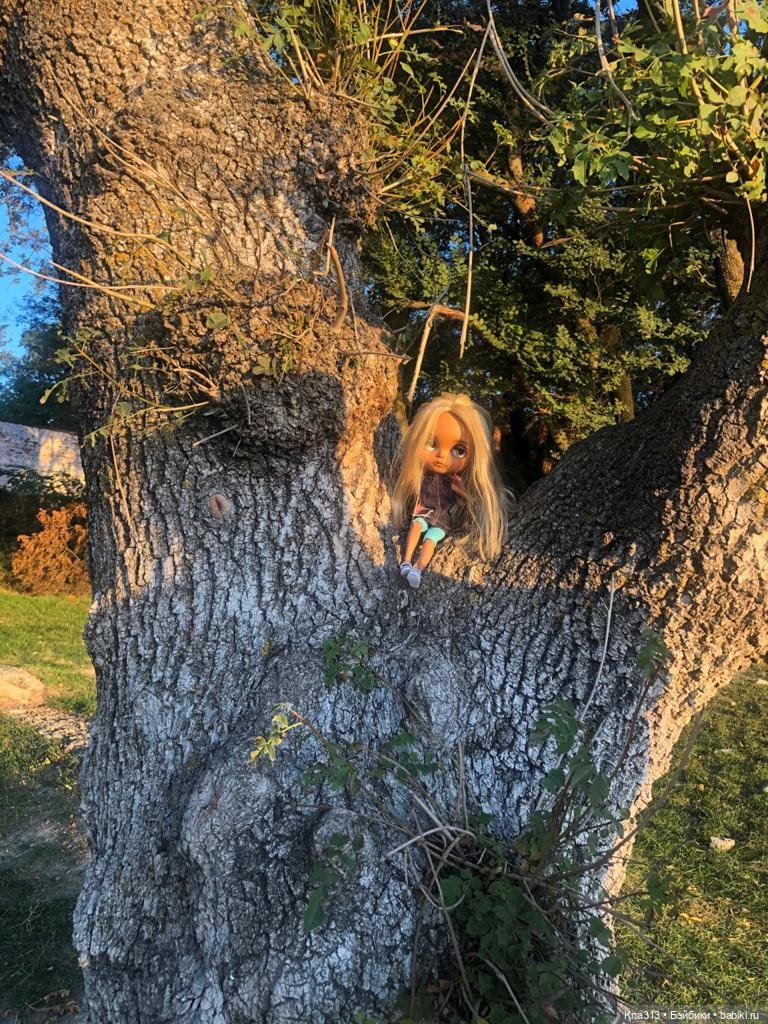 5300 км туда и обратно -2