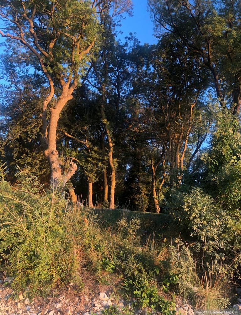 5300 км туда и обратно -2