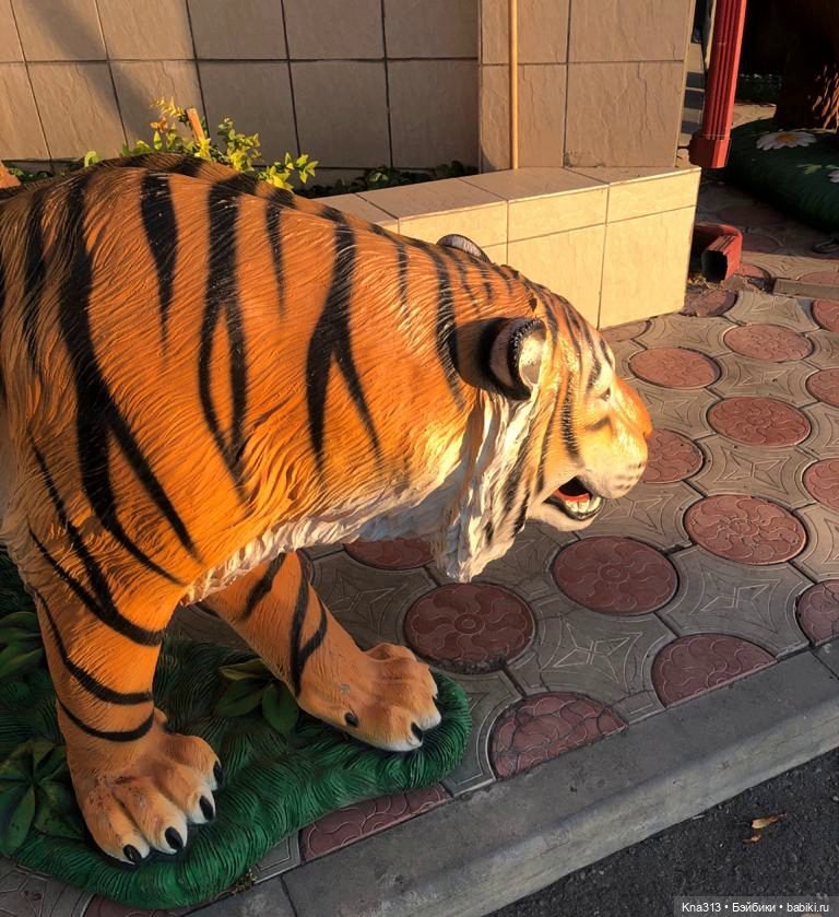 5300 км туда и обратно -2 (фото 4)