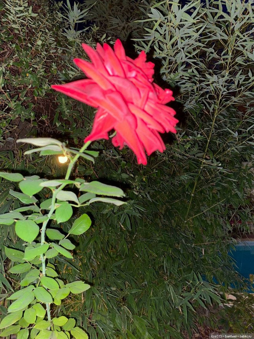 5300 км туда и обратно -2