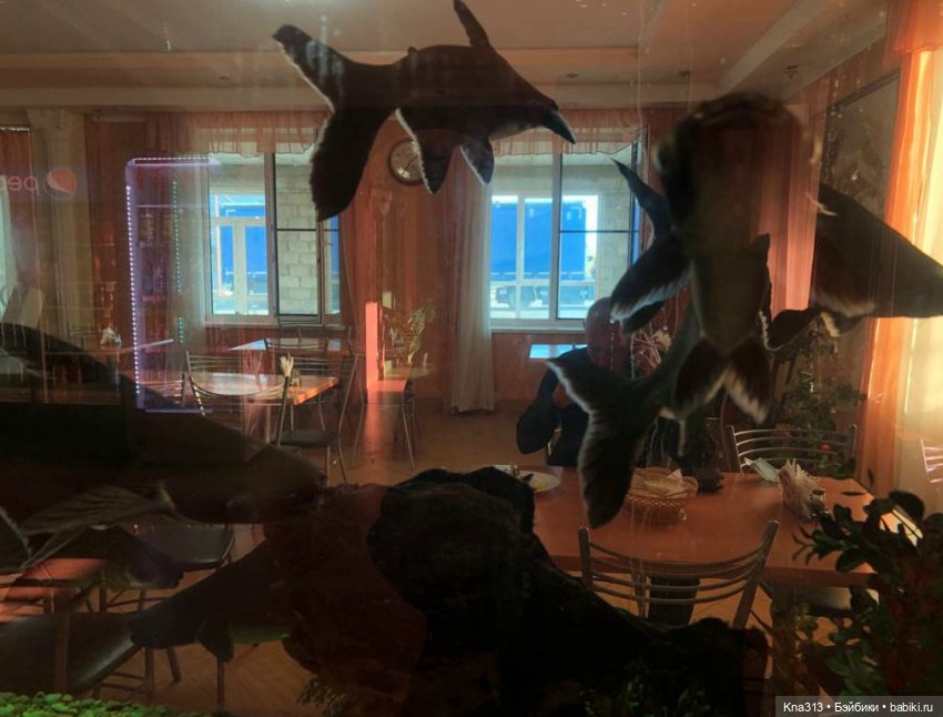 5300 км туда и обратно -2 (фото 2)