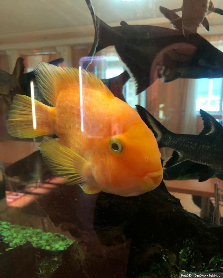 5300 км туда и обратно -2 (фото 3)