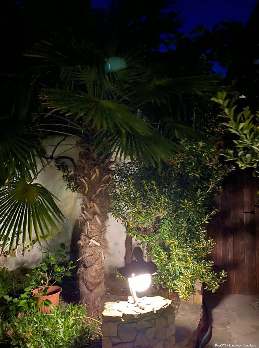 5300 км туда и обратно -2