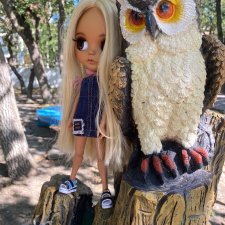 5300 км туда и обратно -2