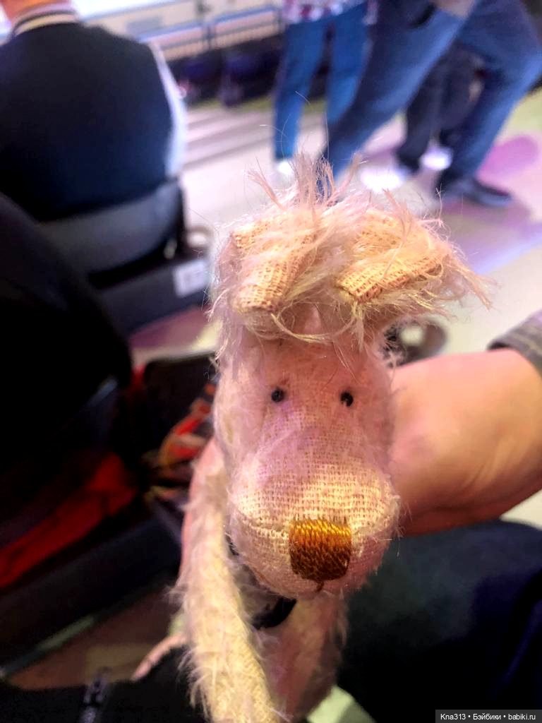 Про всё на свете — Куклы Zwergnase (Цвергназе/Цверги): фото