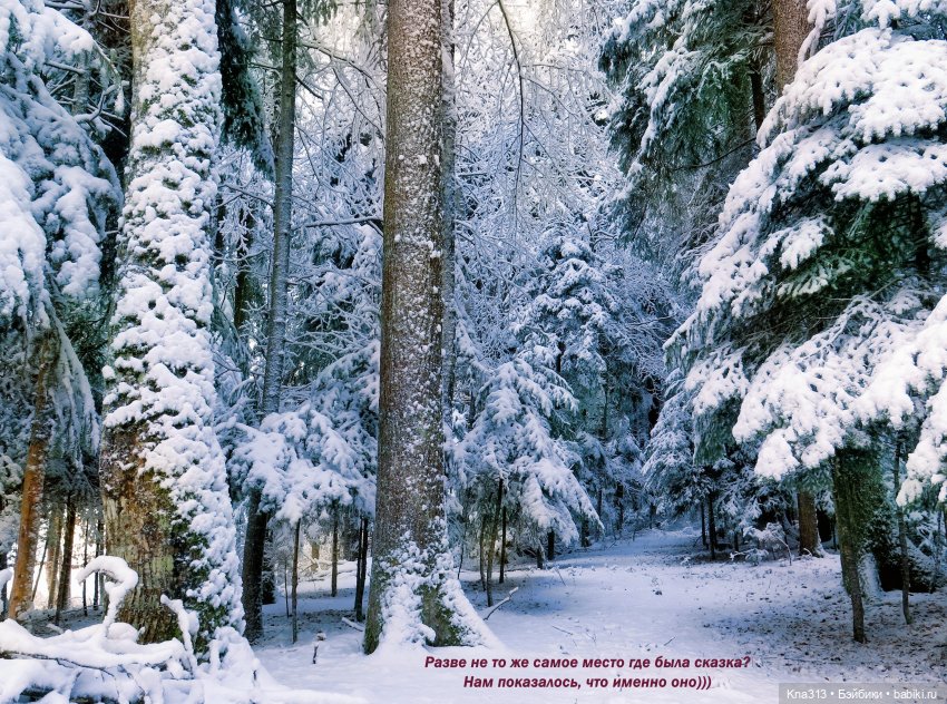 По следам "Серебряного копытца" и немного грусти