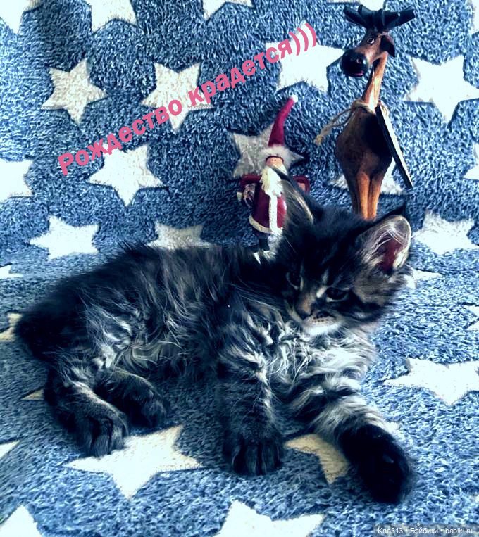 По следам "Серебряного копытца" и немного грусти