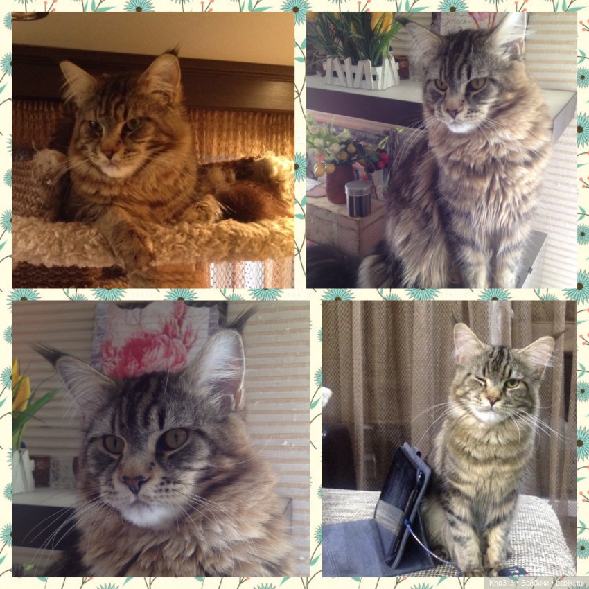 По следам "Серебряного копытца" и немного грусти (фото 2)