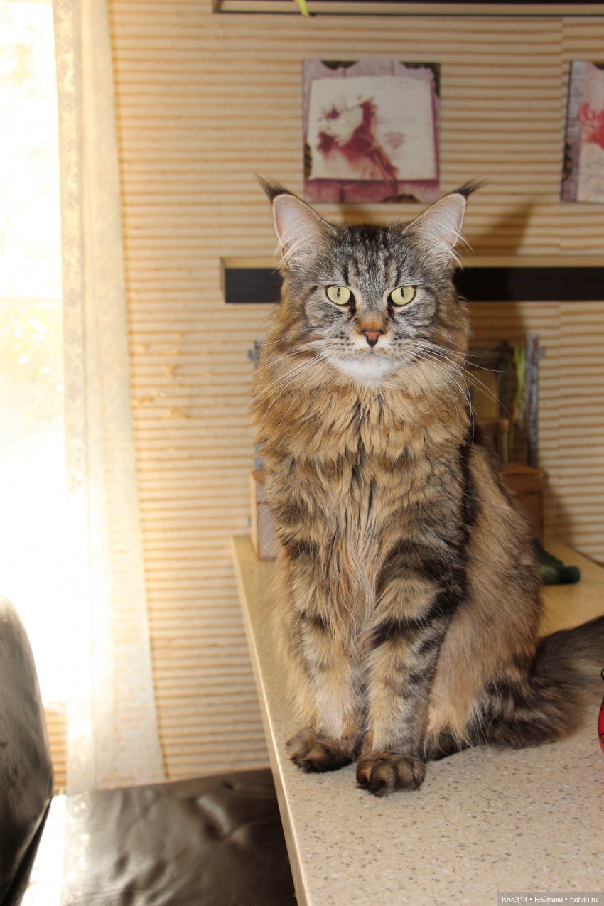 По следам "Серебряного копытца" и немного грусти (фото 3)