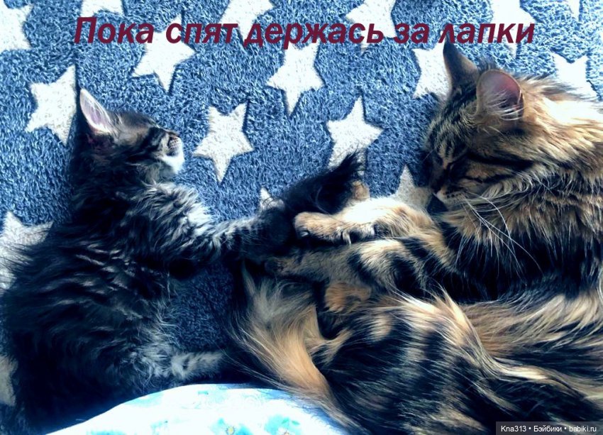 По следам "Серебряного копытца" и немного грусти