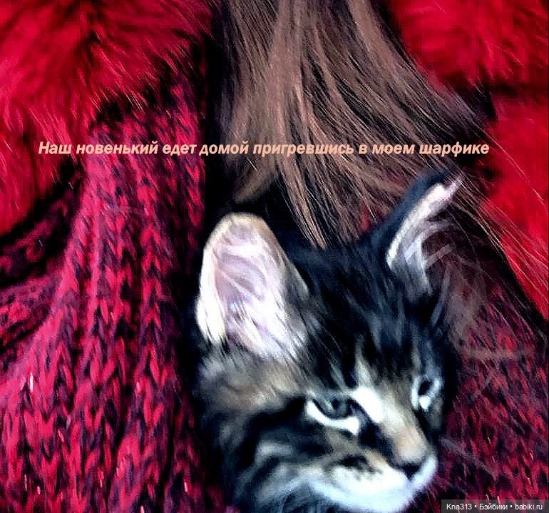 По следам "Серебряного копытца" и немного грусти