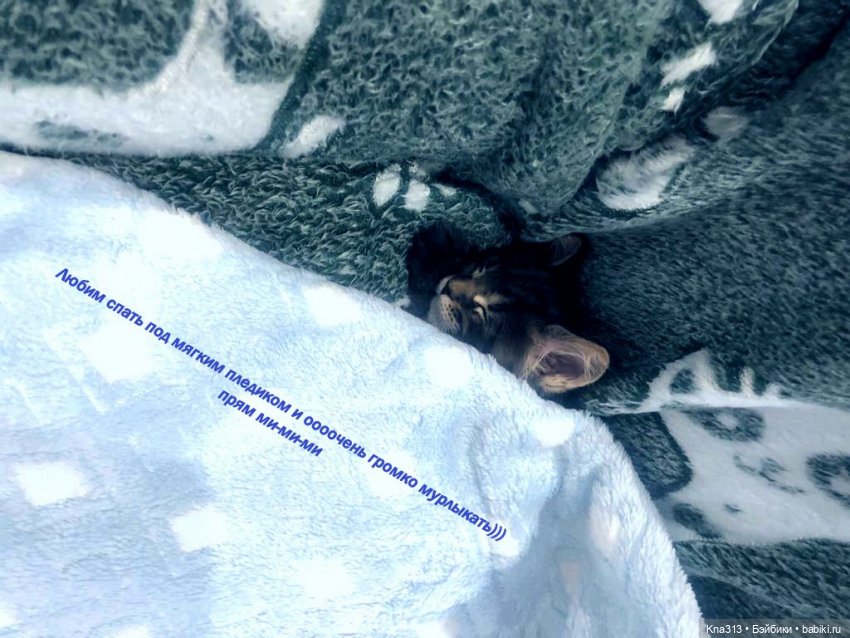 По следам "Серебряного копытца" и немного грусти