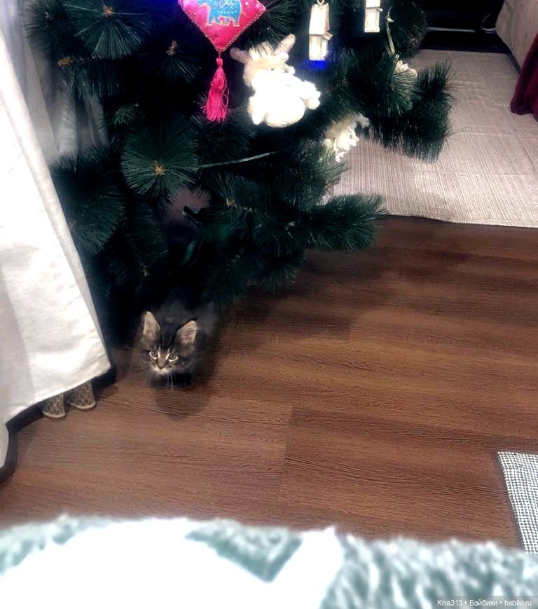 По следам "Серебряного копытца" и немного грусти