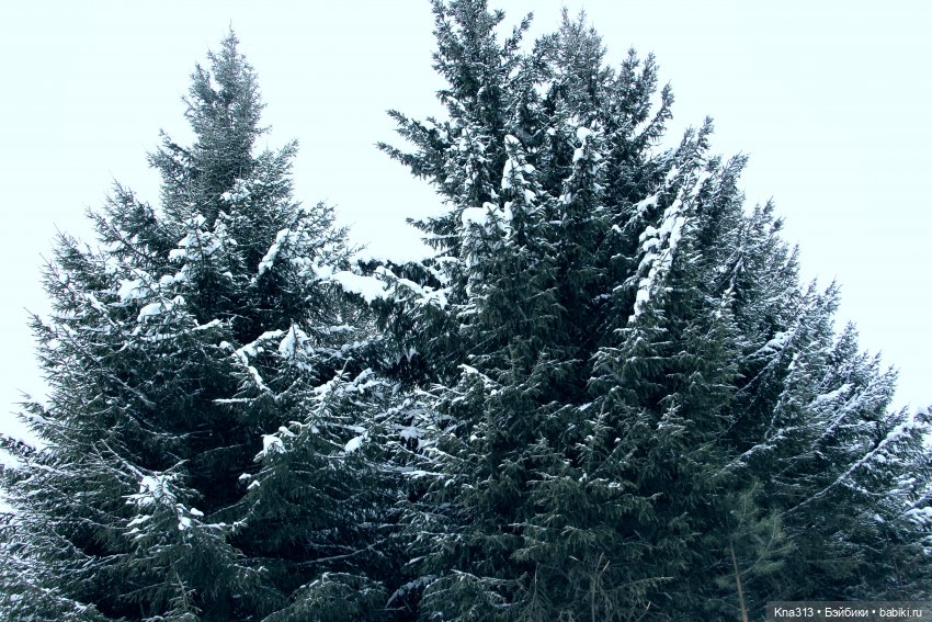 По следам "Серебряного копытца" и немного грусти