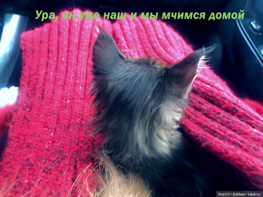 По следам "Серебряного копытца" и немного грусти