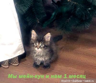 По следам "Серебряного копытца" и немного грусти