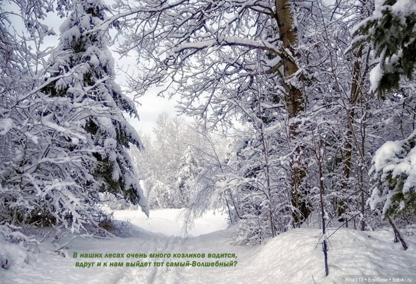 По следам "Серебряного копытца" и немного грусти