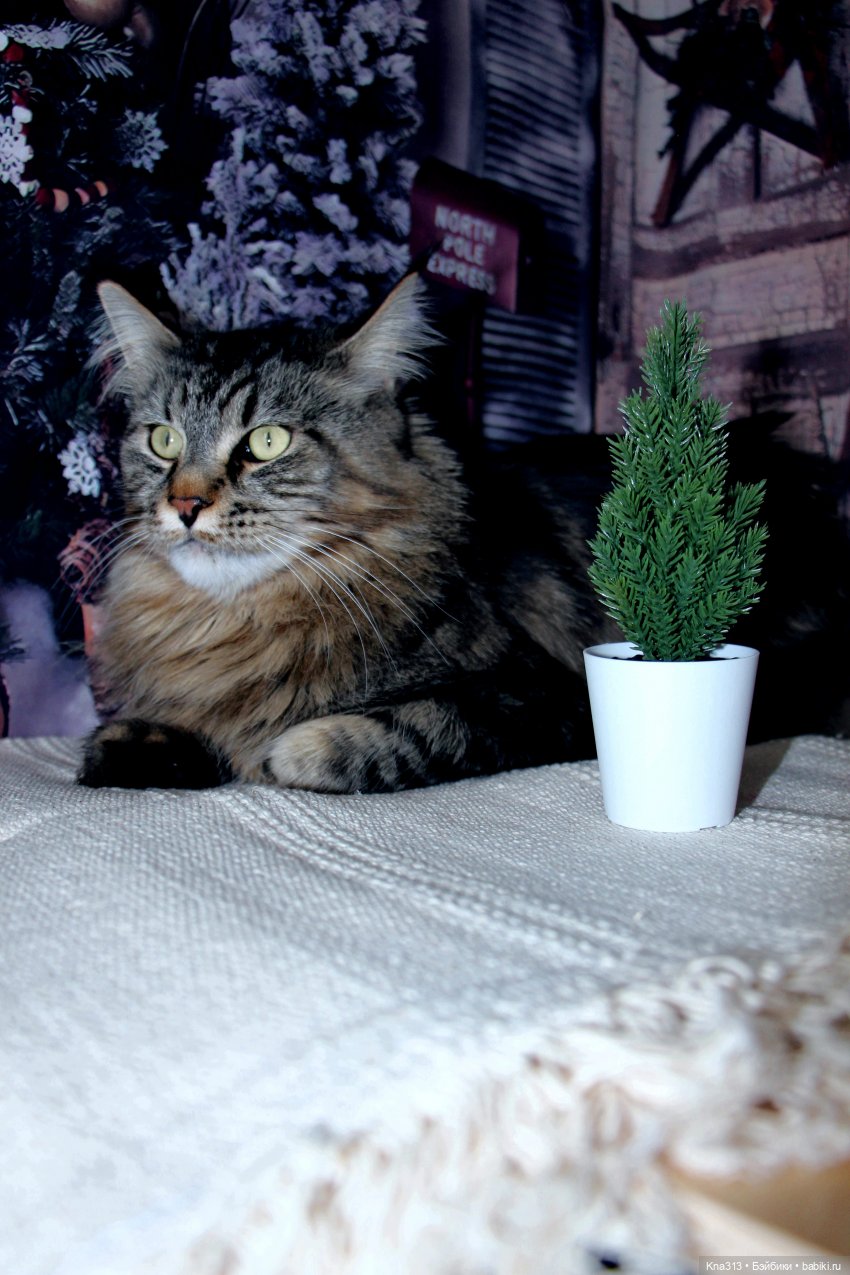 По следам "Серебряного копытца" и немного грусти (фото 5)