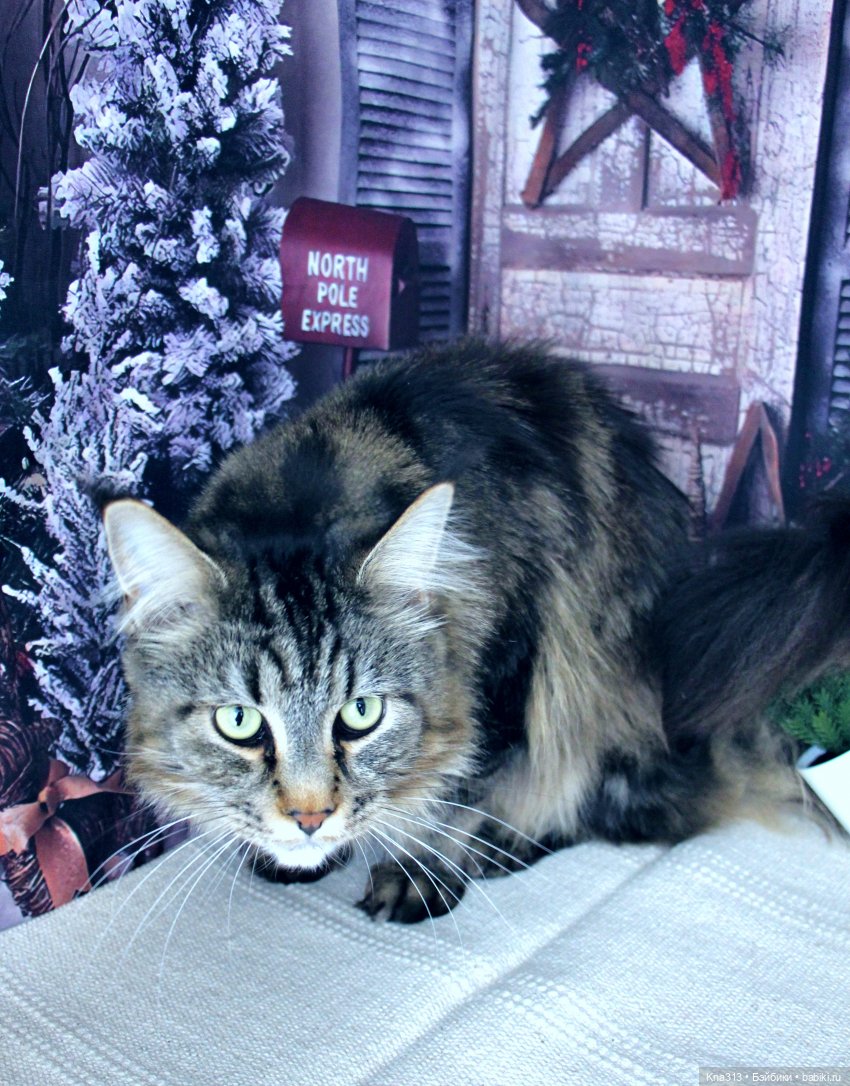 По следам "Серебряного копытца" и немного грусти (фото 4)