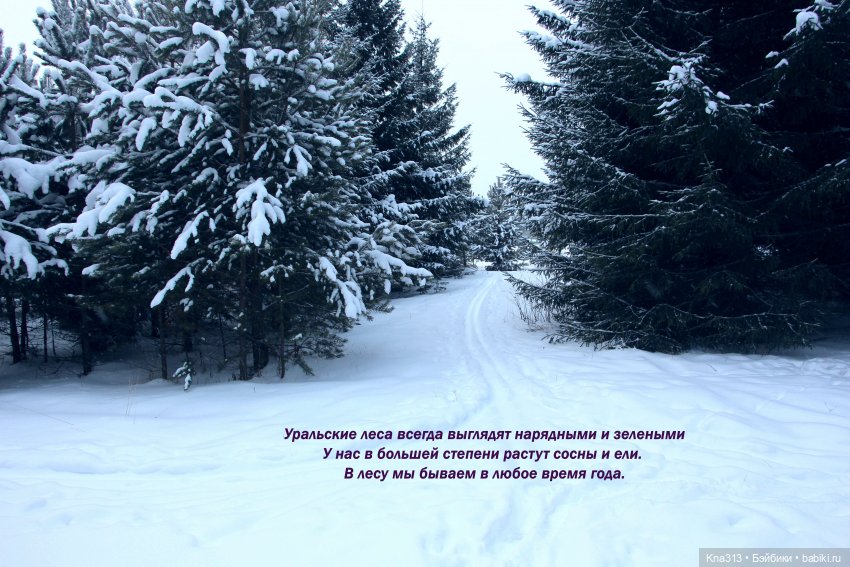 По следам "Серебряного копытца" и немного грусти