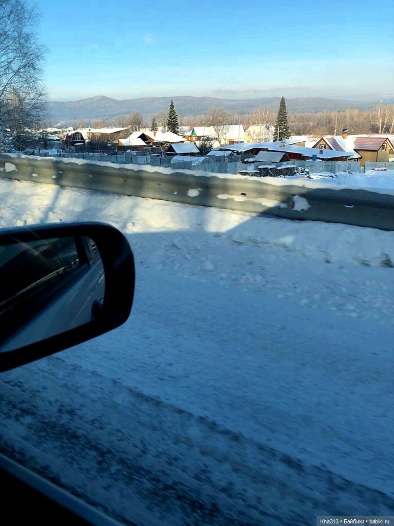 Всё коту Масленица, или у нас пополнение в семье Zwergnase