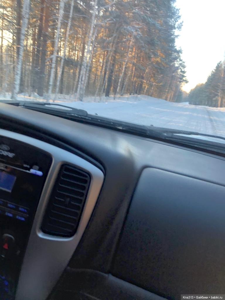 Всё коту Масленица, или у нас пополнение в семье Zwergnase