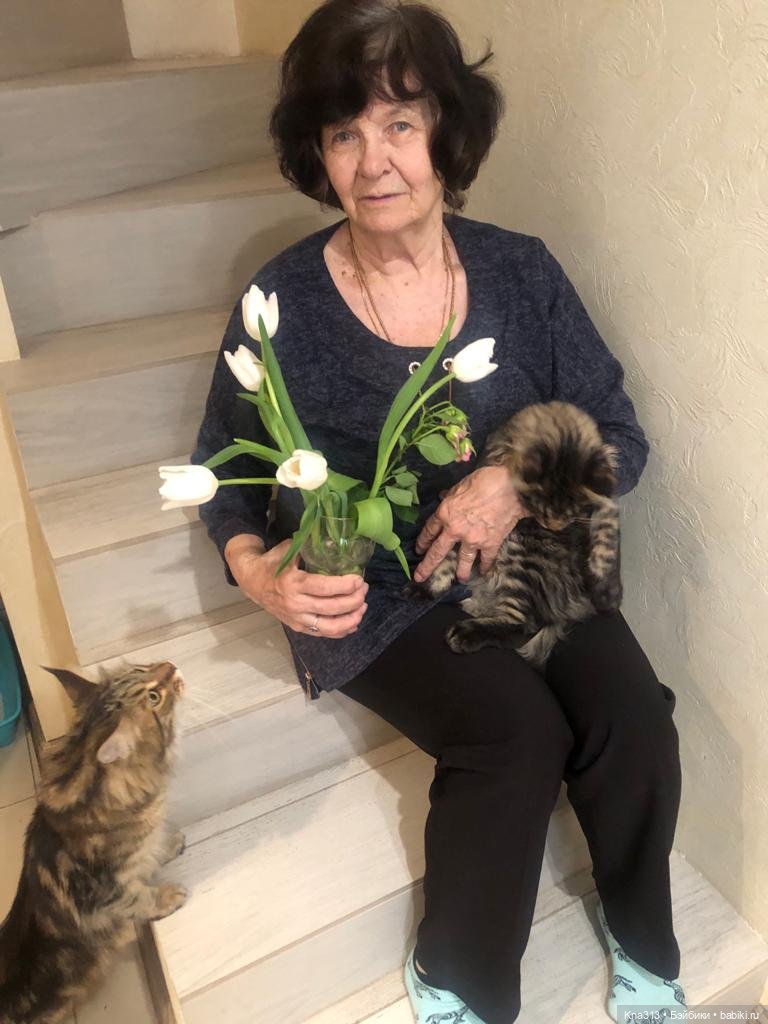 Всё коту Масленица, или у нас пополнение в семье Zwergnase