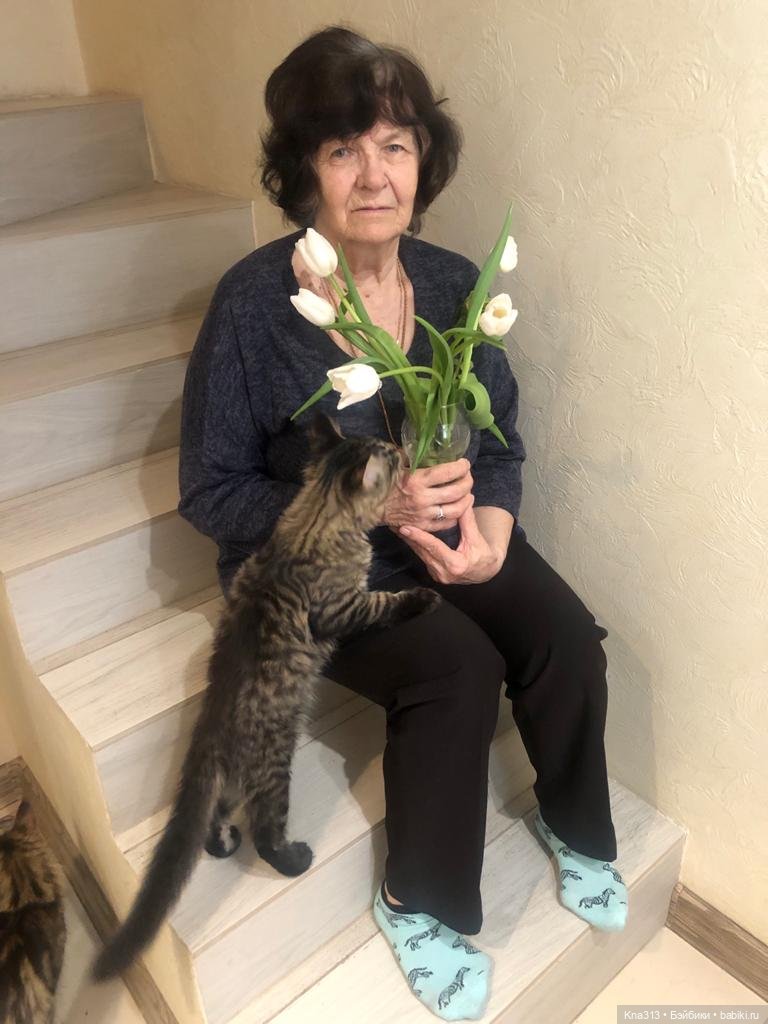 Всё коту Масленица, или у нас пополнение в семье Zwergnase