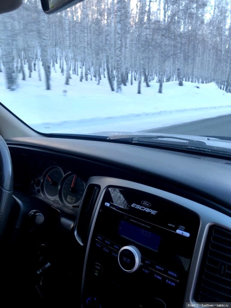 Всё коту Масленица, или у нас пополнение в семье Zwergnase