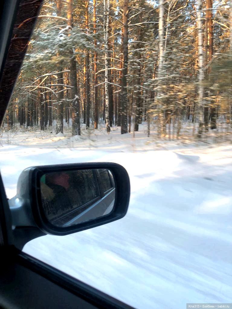 Всё коту Масленица, или у нас пополнение в семье Zwergnase