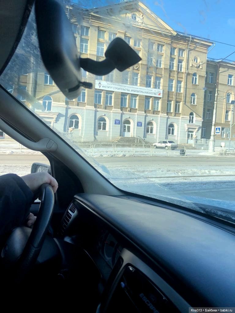 Всё коту Масленица, или у нас пополнение в семье Zwergnase