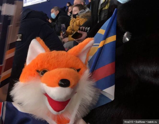 Всё коту Масленица, или у нас пополнение в семье Zwergnase