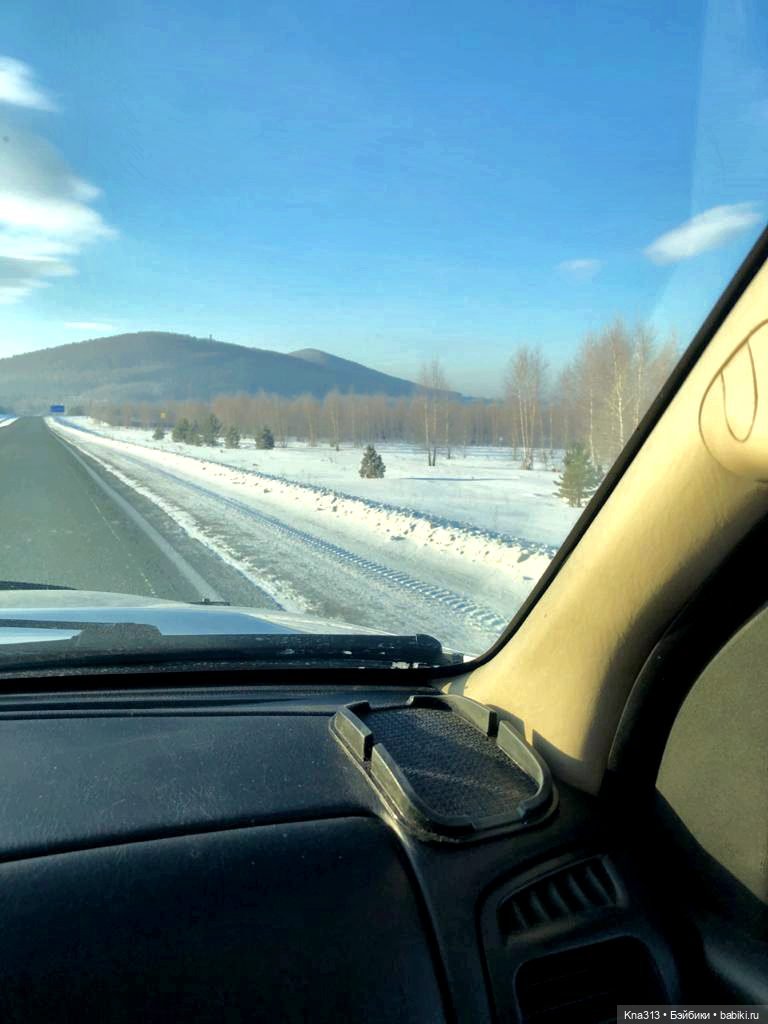 Всё коту Масленица, или у нас пополнение в семье Zwergnase