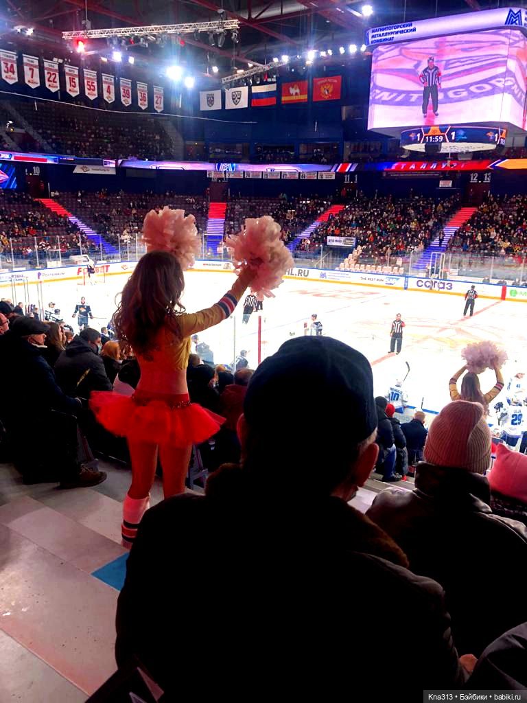 Всё коту Масленица, или у нас пополнение в семье Zwergnase