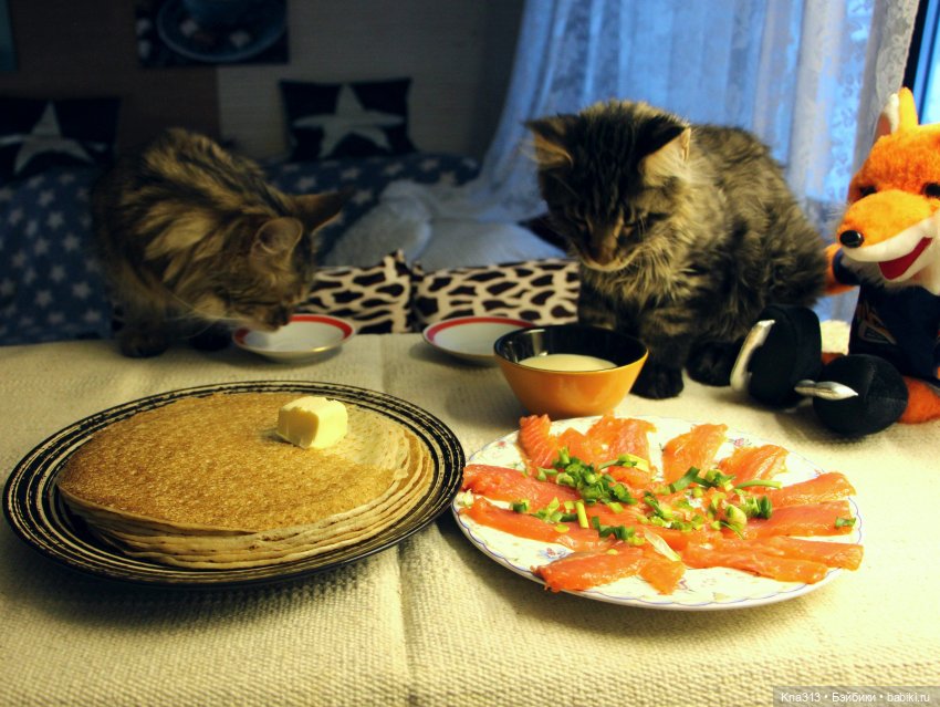 Всё коту Масленица, или у нас пополнение в семье Zwergnase