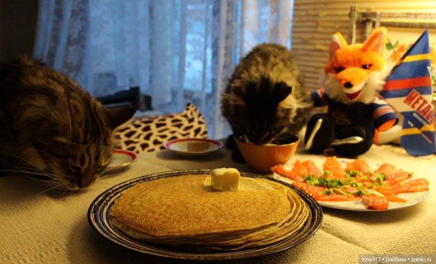 Всё коту Масленица, или у нас пополнение в семье Zwergnase