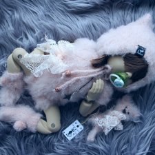 Персидские котятки