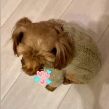 Одеть друга