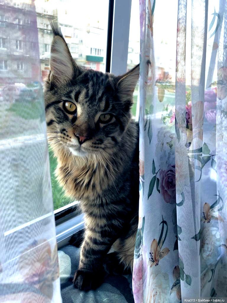 Новое место для фотосъемки у нас дома | Бэйбики Новое место для фотосъемки у нас дома