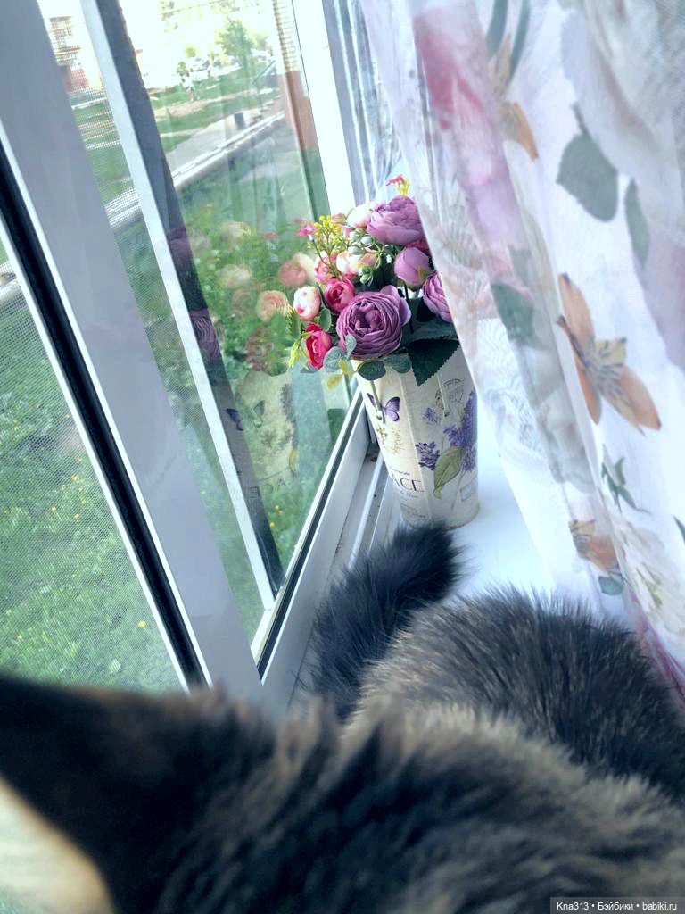 Новое место для фотосъемки у нас дома | Бэйбики Новое место для фотосъемки у нас дома