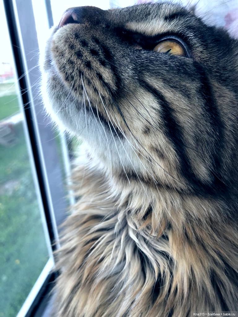 Новое место для фотосъемки у нас дома | Бэйбики Новое место для фотосъемки у нас дома