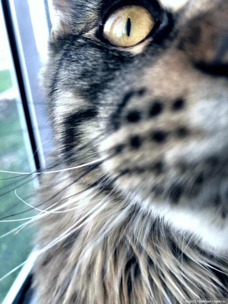 Новое место для фотосъемки у нас дома | Бэйбики Новое место для фотосъемки у нас дома (фото 5)