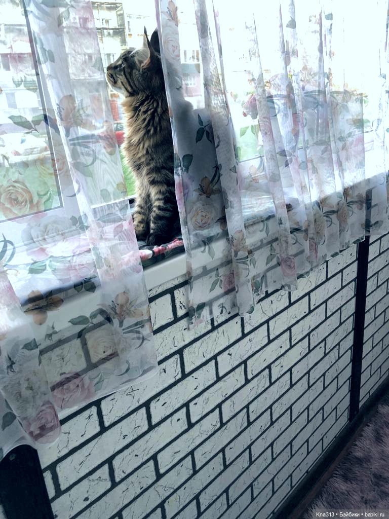 Новое место для фотосъемки у нас дома | Бэйбики Новое место для фотосъемки у нас дома (фото 8)