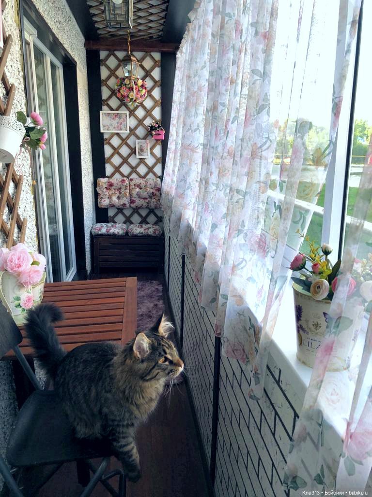 Новое место для фотосъемки у нас дома | Бэйбики Новое место для фотосъемки у нас дома (фото 6)