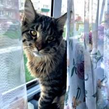 Новое место для фотосъемки у нас дома