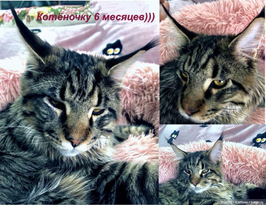 Пижамная вечеринка или для кого кроватки