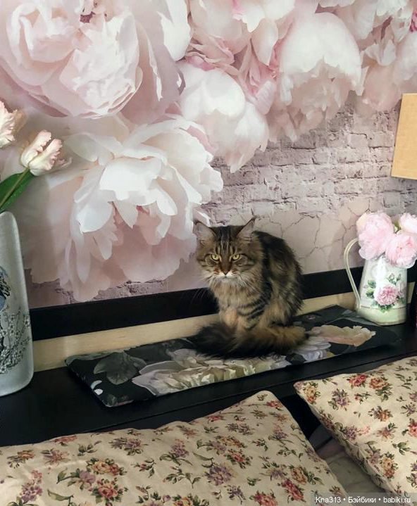 Пижамная вечеринка или для кого кроватки