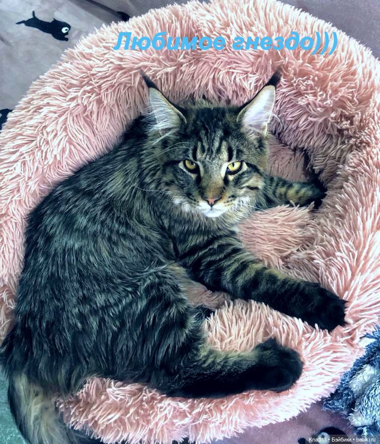 Пижамная вечеринка или для кого кроватки